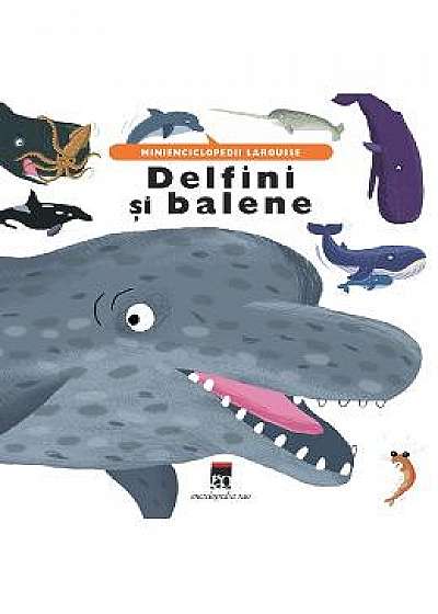 Delfini si balene - Minienciclopedii Larousse