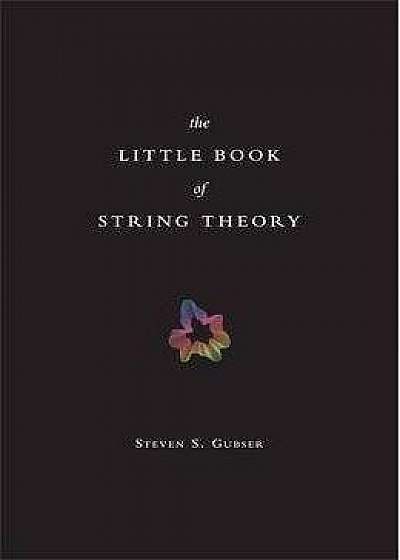 little book of string theory