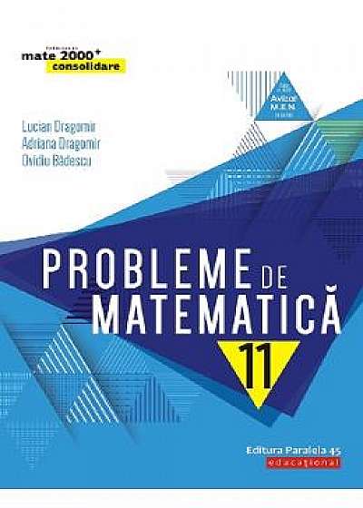 Probleme de matematica - Clasa 11 - Consolidare - Lucian Dragomir