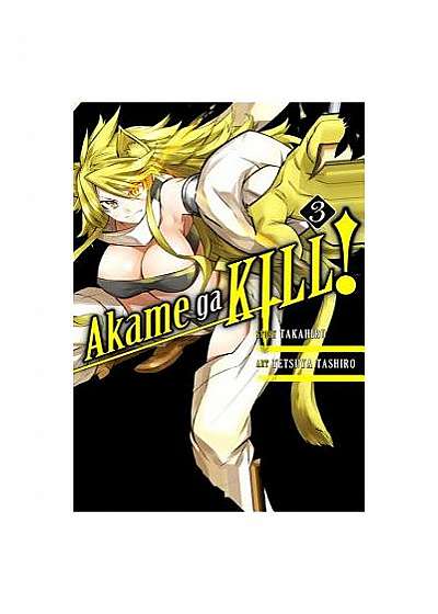 Akame Ga Kill!, Volume 3