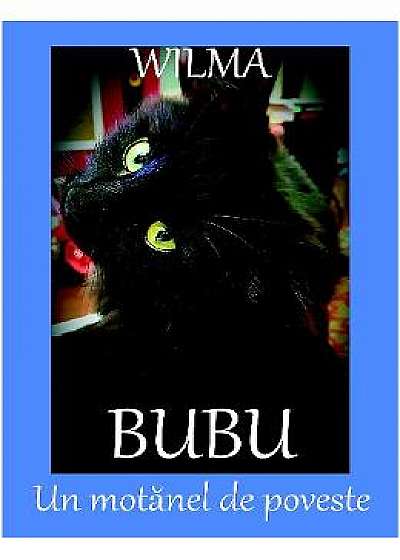 Bubu, un motanel de poveste