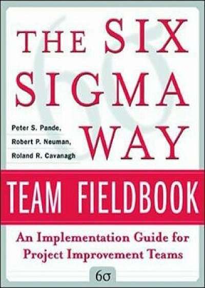 Six Sigma Way Team Fieldbook: An Implementation Guide for Pr, Paperback