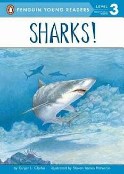 Sharks!: All Aboard Science Reader Station Stop 2, Paperback