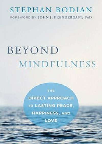 Beyond Mindfulness: The Direct Approach to Lasting Peace, Happiness, and Love, Paperback