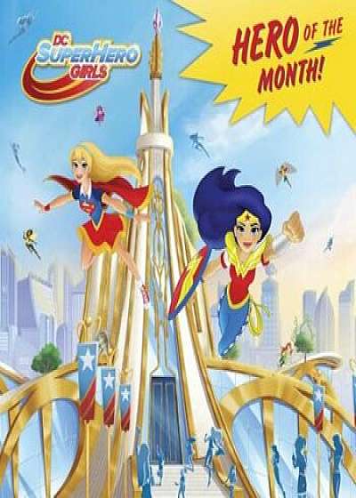 Hero of the Month! (DC Super Hero Girls), Paperback