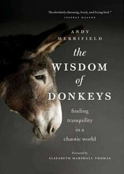 The Wisdom of Donkeys: Finding Tranquility in a Chaotic World, Paperback