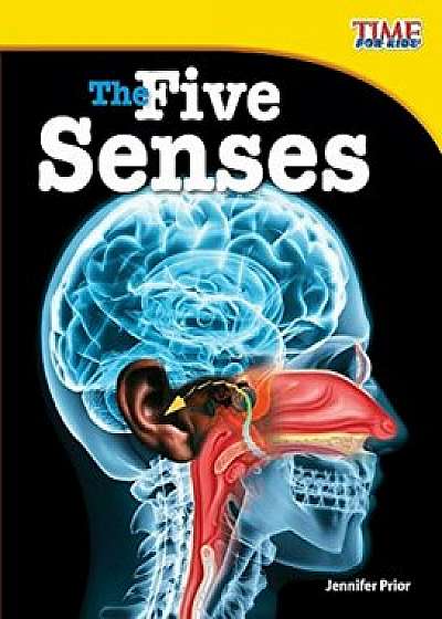 The Five Senses, Paperback