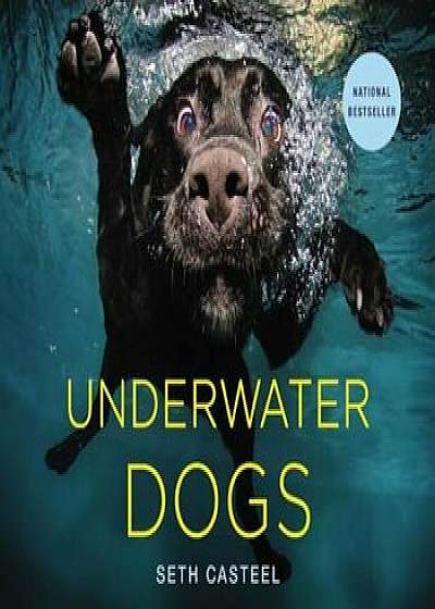 Underwater Dogs, Hardcover