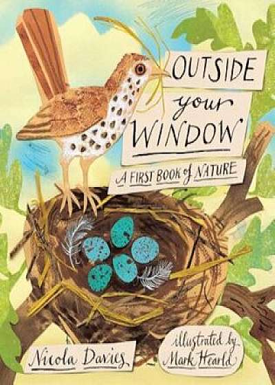Outside Your Window: A First Book of Nature, Hardcover/Nicola Davies