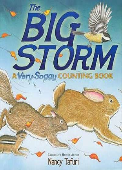 The Big Storm: A Very Soggy Counting Book, Hardcover/Nancy Tafuri
