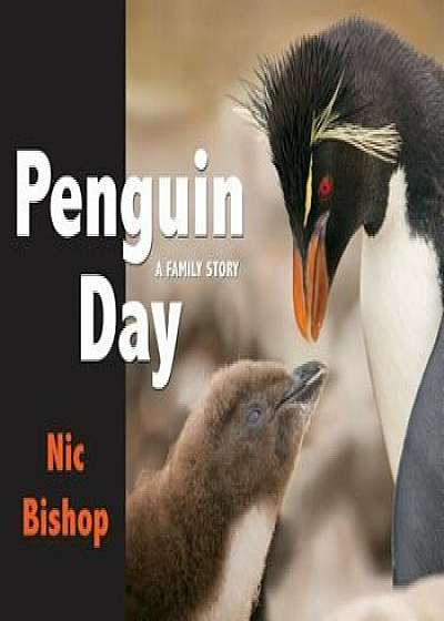 Penguin Day, Hardcover/Nic Bishop