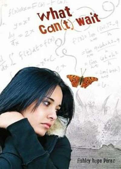 What Can(t) Wait, Paperback/Ashley Hope Perez