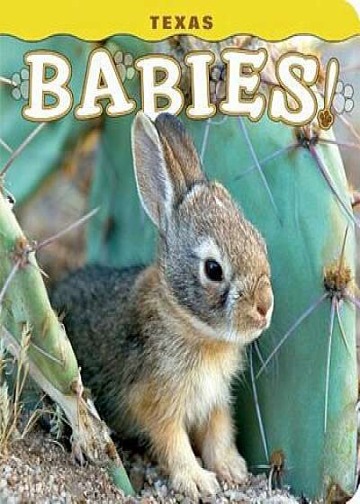 Texas Babies!, Hardcover/Steph Lehmann