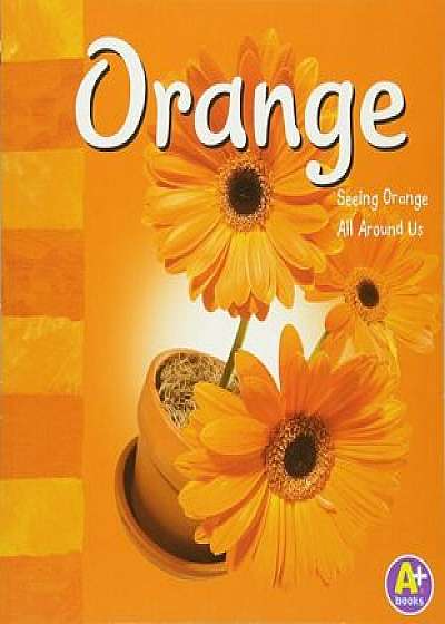 Orange: Seeing Orange All Around Us, Paperback/Sarah L. Schuette