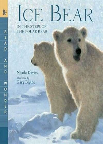 Ice Bear: In the Steps of the Polar Bear, Paperback/Nicola Davies
