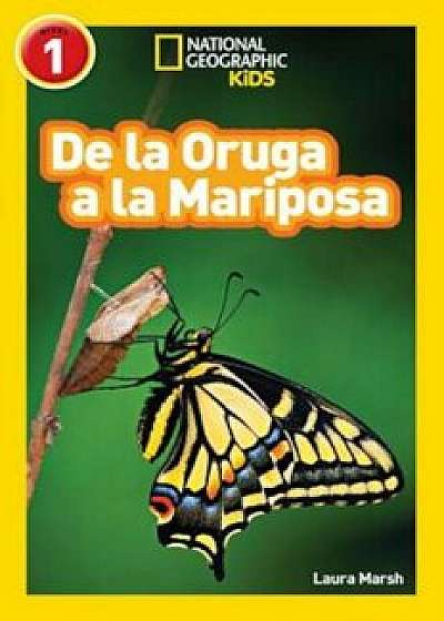 National Geographic Readers: de la Oruga a la Mariposa (Caterpillar to Butterfly), Paperback/Laura Marsh