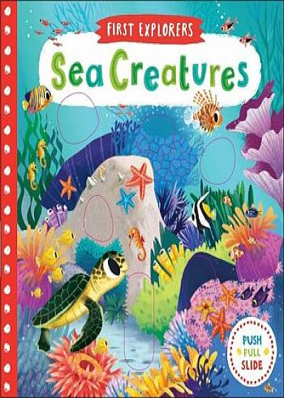 Sea Creatures, Hardcover/Chorkung