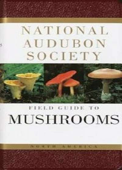 National Audubon Society Field Guide to North American Mushrooms, Hardcover/National Audubon Society