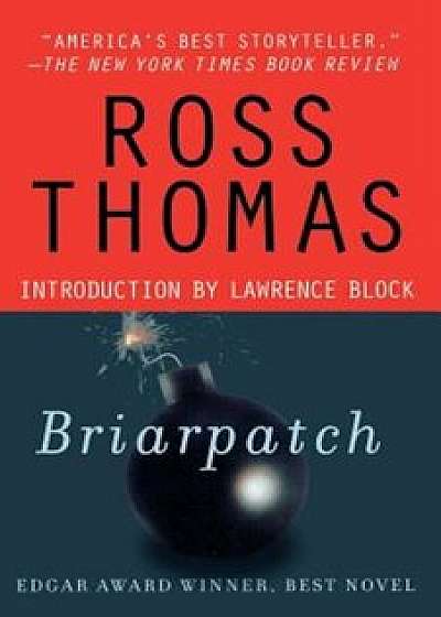 Briarpatch, Paperback/Ross Thomas