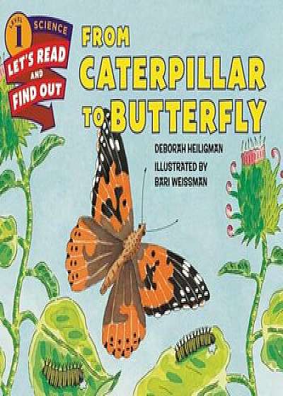 From Caterpillar to Butterfly, Paperback/Deborah Heiligman