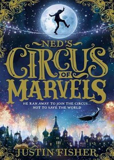Ned's Circus of Marvels, Paperback/Justin Fisher