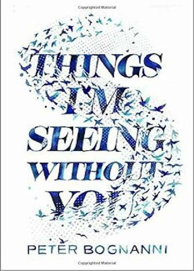 Things I'm Seeing Without You, Hardcover/Peter Bognanni