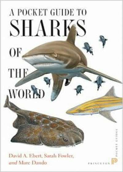 A Pocket Guide to Sharks of the World, Paperback/David A. Ebert
