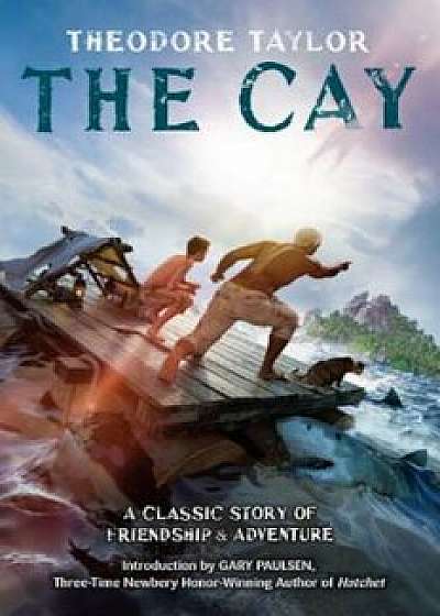 The Cay, Paperback/Theodore Taylor