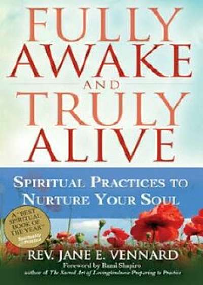 Fully Awake and Truly Alive: Spiritual Practices to Nurture Your Soul, Paperback/Jane E. Vennard