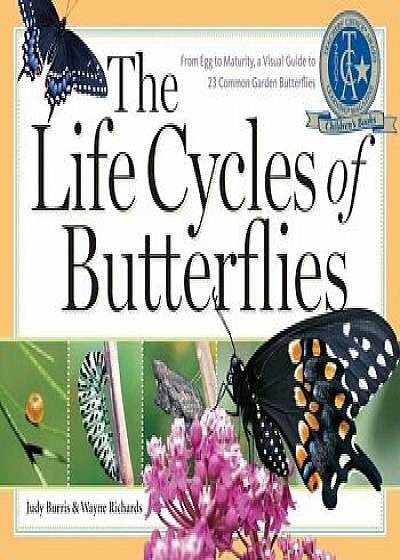 The Life Cycles of Butterflies: From Egg to Maturity, a Visual Guide to 23 Common Garden Butterflies, Paperback/Judy Burris