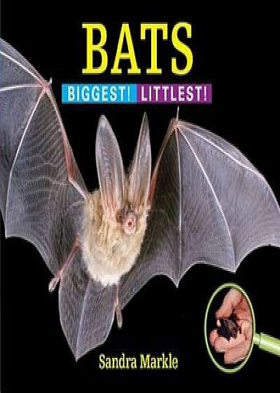 Bats: Biggest! Littlest!, Hardcover/Sandra Markle
