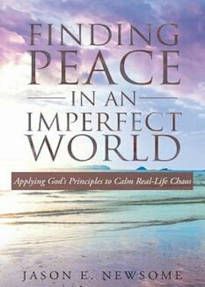 Finding Peace in an Imperfect World: Applying God's Principles to Calm Real-Life Chaos, Paperback/Jason E. Newsome
