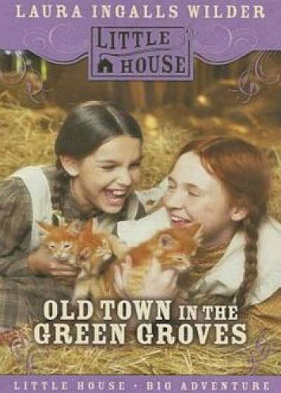 Old Town in the Green Groves: Laura Ingalls Wilder's Lost Little House Years, Paperback/Cynthia Rylant