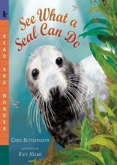 See What a Seal Can Do, Paperback/Christine Butterworth