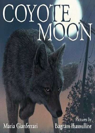 Coperta cărții Coyote Moon, Hardcover/Maria Gianferrari