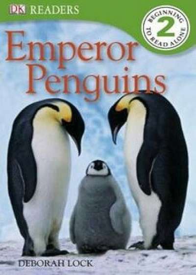 Emperor Penguins, Paperback/Deborah Lock