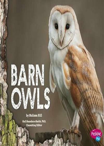 Barn Owls, Paperback/Gail Saunders-Smith
