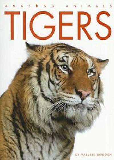 Tigers, Paperback/Valerie Bodden