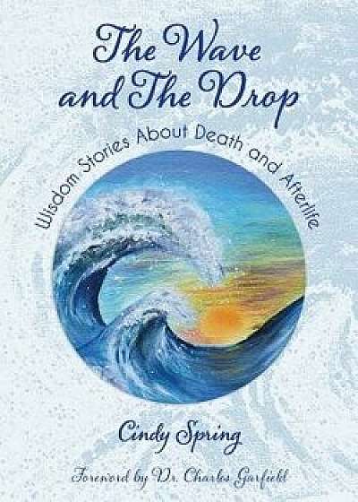 The Wave and the Drop: Wisdom Stories about Death and Afterlife, Paperback/Cindy Spring