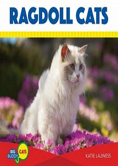 Ragdoll Cats, Hardcover/Katie Lajiness