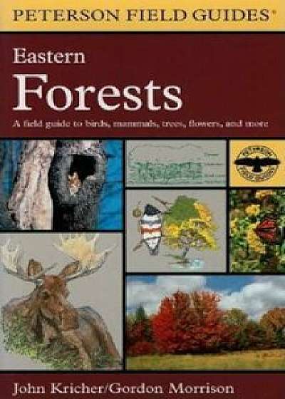 A Peterson Field Guide to Eastern Forests: North America, Paperback/Gordon Morrison