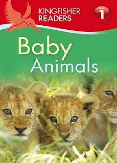 Baby Animals, Paperback/Thea Feldman