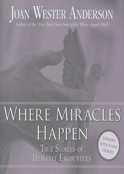 Where Miracles Happen: True Stories of Heavenly Encounters, Paperback/Joan Wester Anderson