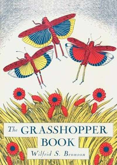 The Grasshopper Book, Paperback/Wilfrid Swancourt Bronson