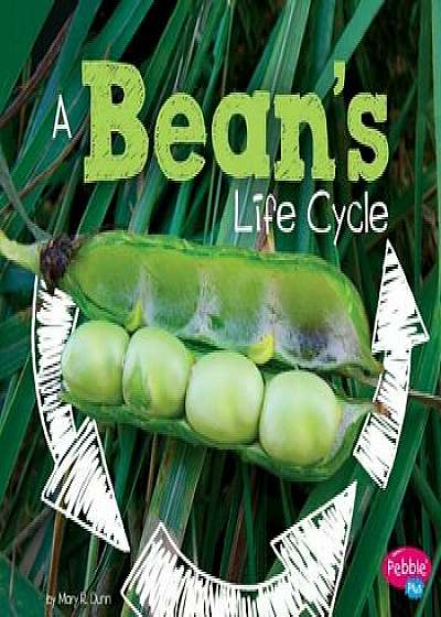 A Bean's Life Cycle, Paperback/Mary R. Dunn