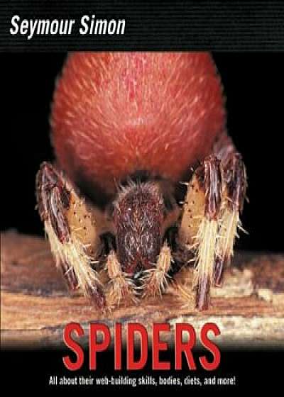 Spiders, Paperback/Seymour Simon