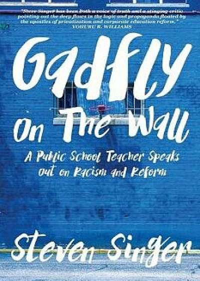 Gadfly on the Wall: A Public School Teacher Speaks Out on Racism and Reform, Paperback/Steven Singer