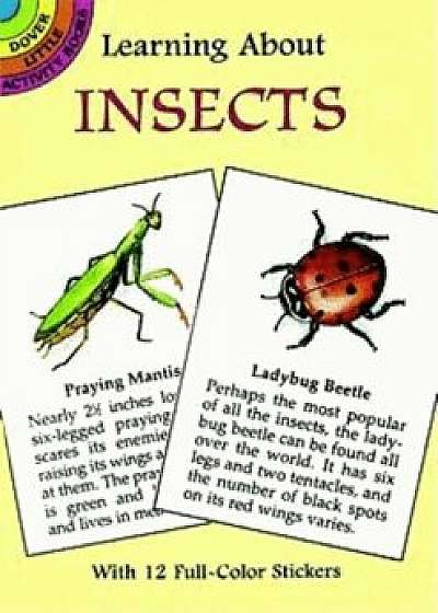 Learning about Insects 'With Insects', Paperback/Jan Sovak