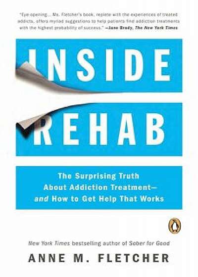 Inside Rehab: The Surprising Truth about Addiction Treatment--And How to Get Help That Works, Paperback/Anne M. Fletcher