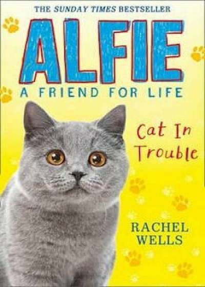 Alfie Cat In Trouble, Paperback/Rachel Wells